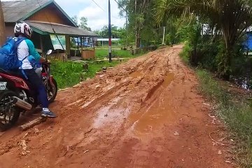 Jalan Desa Dadahup Kapuas Berlumpur
