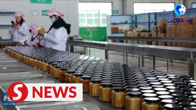 E-commerce brings vitality to mountainous region in NW China's Gansu