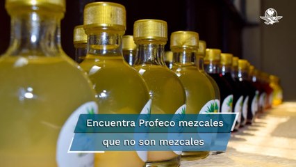 Profeco advierte que este mezcal no lo es y encuentra otros que tienen menos alcohol