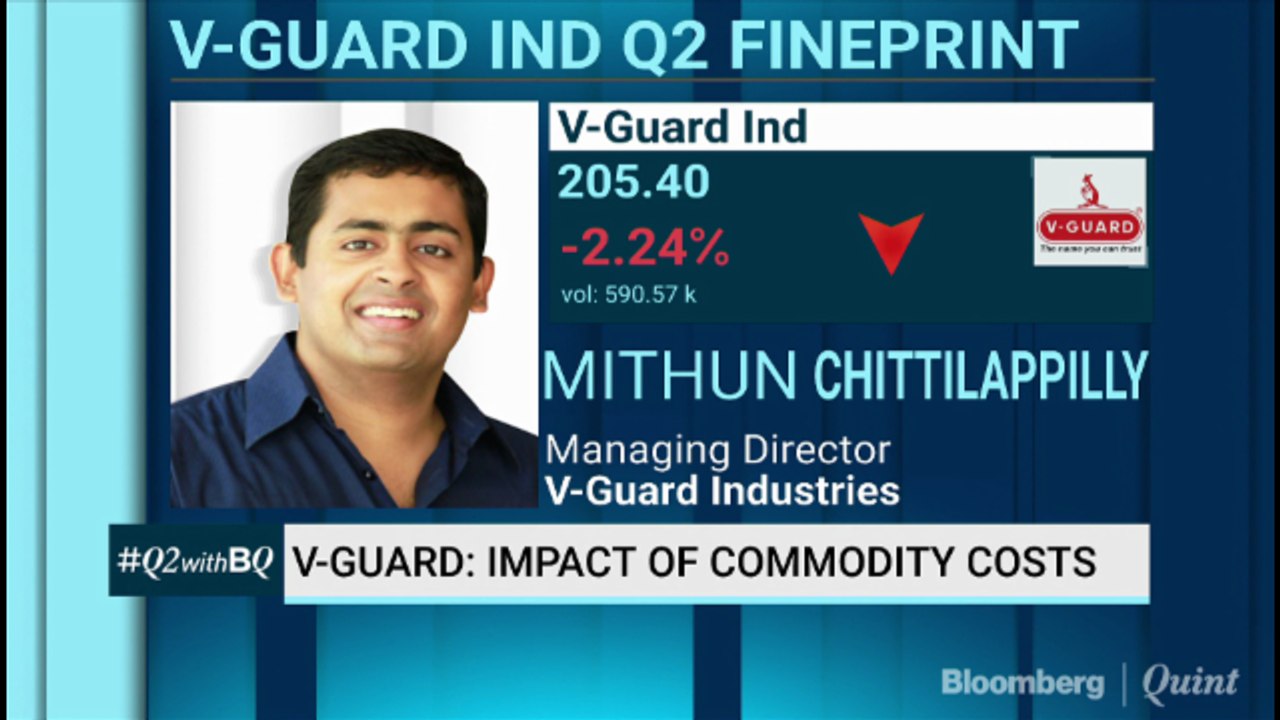 V-Guard's Growth Trajectory