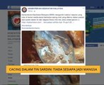 Cacing dalam tin sardin: Tiada sesiapa jadi mangsa