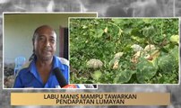 AWANI State [Terengganu]:  Labu manis antara rezeki baharu petani Terengganu