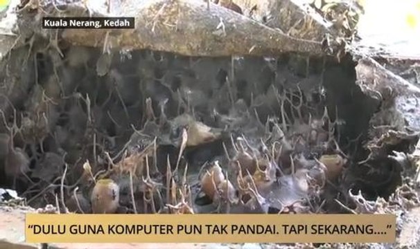 AWANI State [Kedah & Perlis]: Dulu guna komputer pun tak pandai, tapi sekarang…