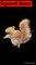 squirrel Dance CG fur. rendering animal  VFX Animation @squirrel_dance..https://amzn.to/37wZjYg