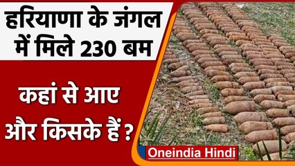 Haryana के जंगल में बड़े पैमाने पर मिला विस्फोटक, 230 बम बरामद, पूरा इलाका सील | वनइंडिया हिंदी