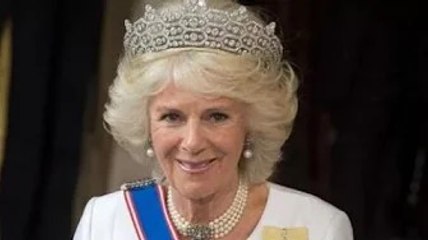 Un grand honneur" Camilla rompt le silence sur le nouveau rôle de la reine consort lorsque Charles e