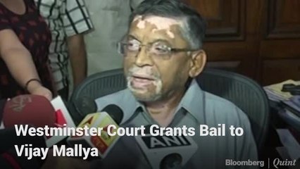 Vijay Mallya's Extradition Process Begins