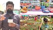 Telangana : Finance & Health Minister Harish Rao Inaugurated Nursery Mela | Oneindia Telugu