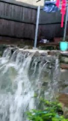 Flooding in Manly Vale | February 2022 | Northern Beaches Review