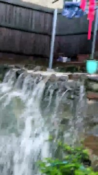 Flooding in Manly Vale | February 2022 | Northern Beaches Review