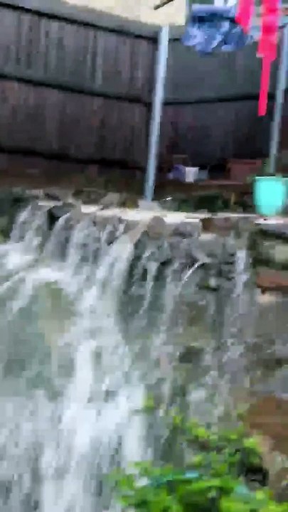 Flooding in Manly Vale | February 2022 | Northern Beaches Review