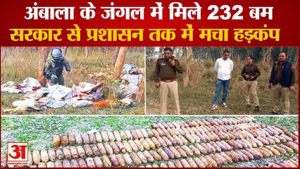 232 Old Bomb Shells Found In Ambala Forest|अंबाला के जंगल में मिले 232 बम, मचा हड़कंप|Begana Canal