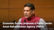 Economic Survey Proposes A Public Sector Asset Rehabilitation Agency (PARA)