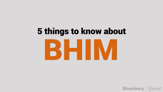 Government Launches Yet Another Digital Payment App