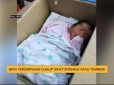 Bayi perempuan cukup sifat ditemui atas tembok