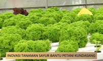 AWANI State [Sabah]: Inovasi tanaman sayur bantu petani Kundasang