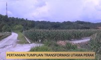 AWANI State [Perak]: Pertanian tumpuan transformasi utama Perak