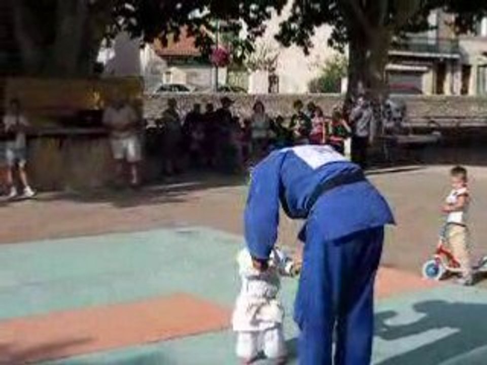 démo judo