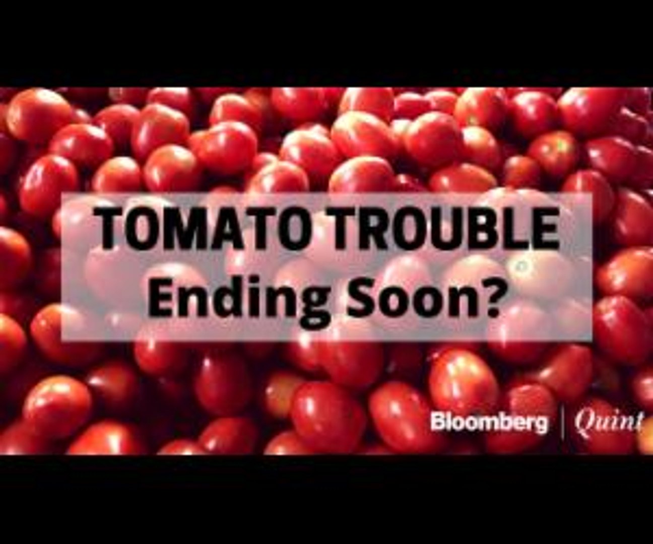 ⁣Tomato Prices Fall