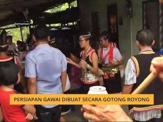 Persiapan Gawai dibuat secara gotong-royong