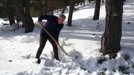 Koyulhisar'da yaban hayvanları için doğaya yiyecek bırakıldı
