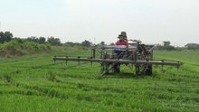Thai Farmer pruning rice plants with machine in Thailand