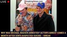 Why was Michael Madsen arrested? Actor's arrest comes a month after son's suspected suicide - 1break