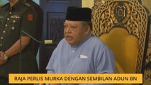 Raja Perlis murka dengan sembilan ADUN BN