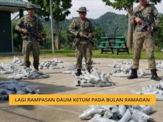 Lagi rampasan daum ketum pada bulan Ramadan
