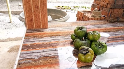 Black Sapote Review