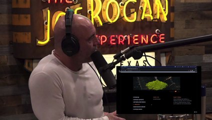 Joe discusses taking Alpha Brain Black Label