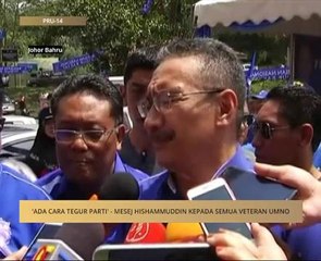 #MalaysiaMemilih: 'Ada cara tegur parti' mesej Hishammuddin kepada semua  veteran UMNO