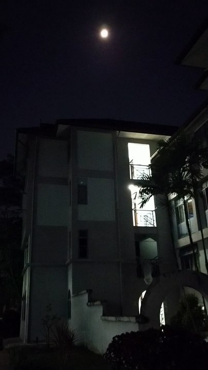 The Moon