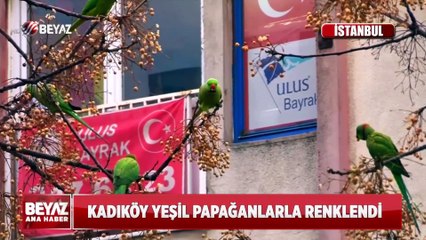 Beyaz Ana Haber 26 Şubat 2022