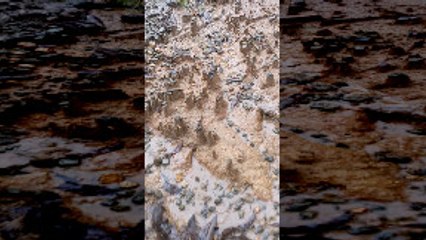 Rain Creates Tiny Canyon-Like Formations in Backyard