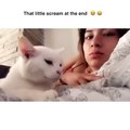 _I said don_t touch me_ ------__You guys really need to follow _funnycatsdoingstuff for more HILARIOUS Cat videos ----(MP4)