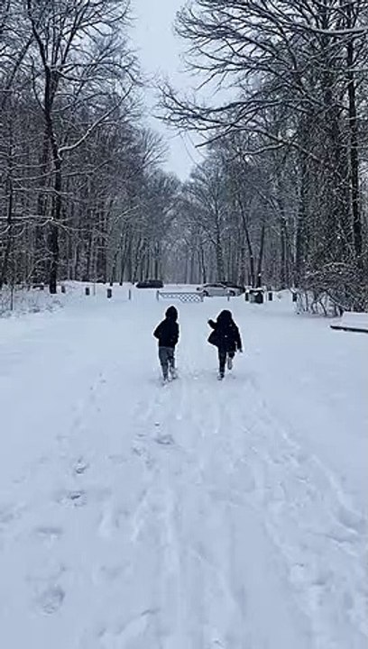 Kiddos Run to Get a Better Look at Albino Deer