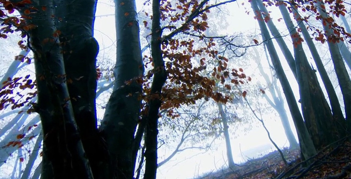 10,000 BC S01 E08