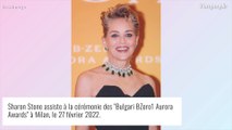 Sharon Stone : Canon et précieuse au côté de Kylie Minogue, sexy en robe fendue
