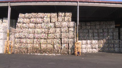 투명페트병, 식품용기로 재탄생..."자원 재활용 높인다" / YTN