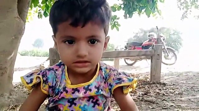 Crop Water Lines - Vilage Crops - Eshal Vlogs #village