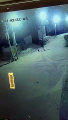 जोजो को खिलाया नशीला बिस्कुट और घरवालों को चकमा देकर ले गए...