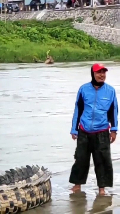 What NOT to do when you see a while crocodile!