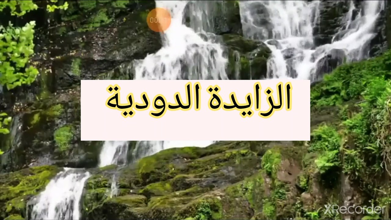نقي قلبك زايدة صغيرة في نهاية المصران تهدم نظزية التطور