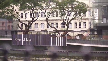 River of Life: The Transformative Journey