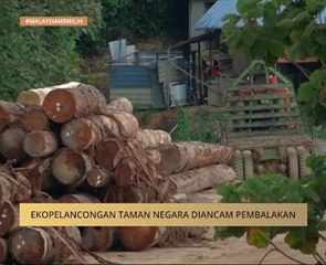 Ekopelancongan Taman Negara diancam pembalakan