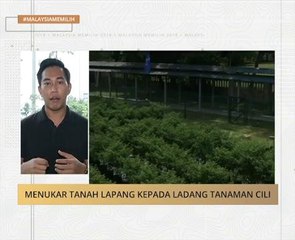 Menukar tanah lapang kepada ladang tanaman cili