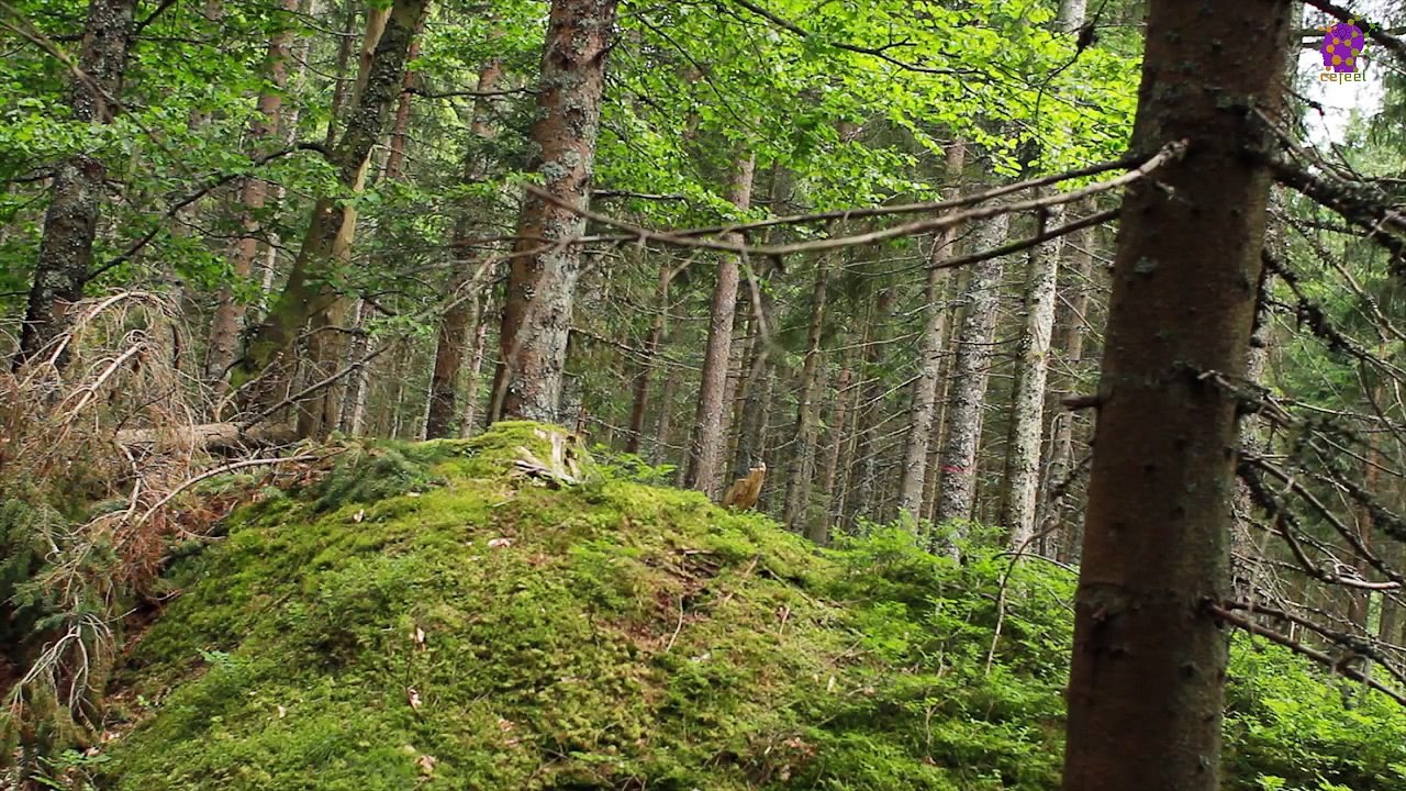 intro-logo-newaudio-15-min-20220219-014140