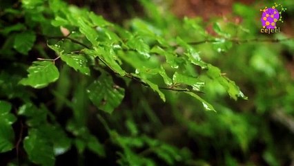 intro-logo-newaudio-15-min-20220219-234743