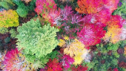 intro-logo-15-min-20220219-234655